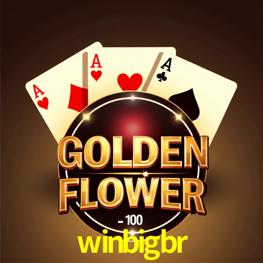 winbigbr.com